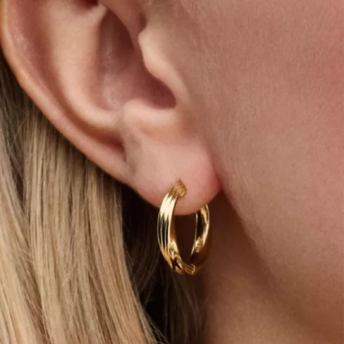 263878C00 PANDORA Essence ženske minđuše