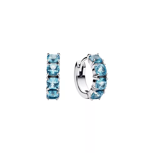 293851C01 PANDORA Hoop ženske minđuše