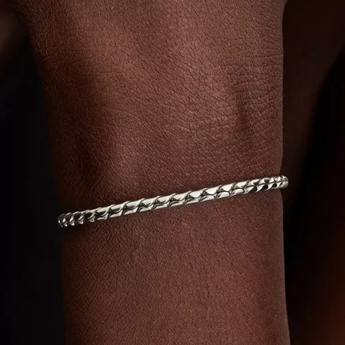 594028C00-17 PANDORA Round Clasp Wing Chain ženska narukvica