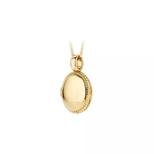 6087YGO BLUSH ZLATNI NAKIT 14ct ženski privezak