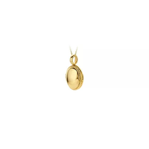 6087YGO BLUSH ZLATNI NAKIT 14ct ženski privezak