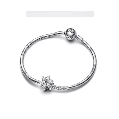 Pandora 792623C01 privezak