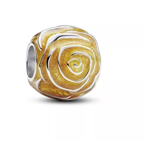 793212C02 PANDORA NAKIT-privezak CC/24
