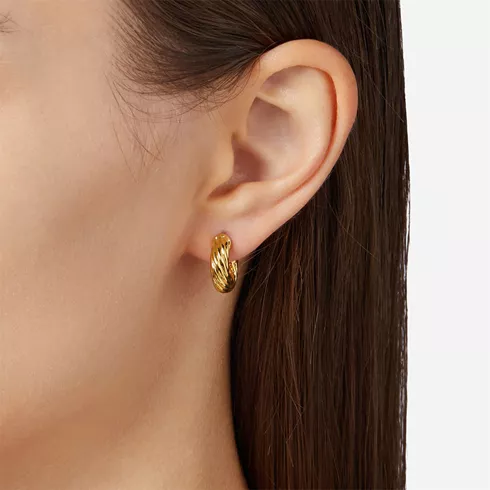J19AXP12 CHIARA FERRAGNI ženske minđuše