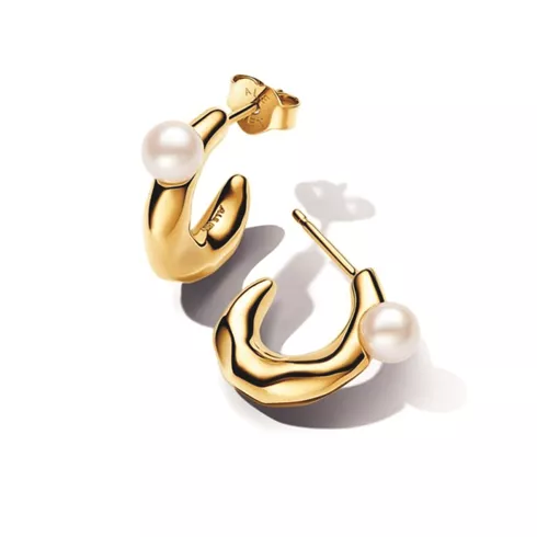 263261C01 PANDORA NAKIT Essence -minduše