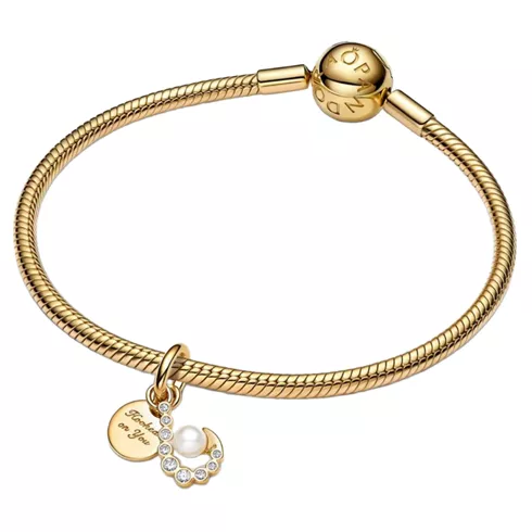 763891C01 PANDORA Sunrise Medallion ženski privezak