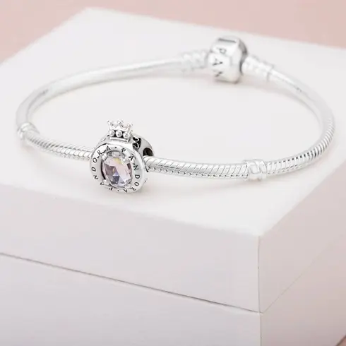 798266CZ -PANDORA Moments privezak