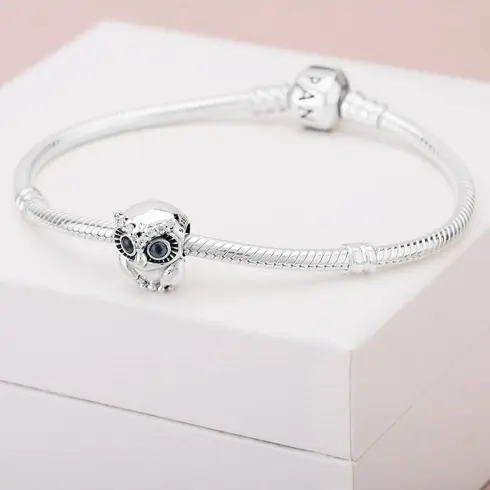 798397NBCB PANDORA Sparkling Owl privezak