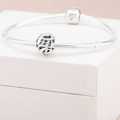 798824C01 PANDORA Openwork Woven Infinity žesnki privezak