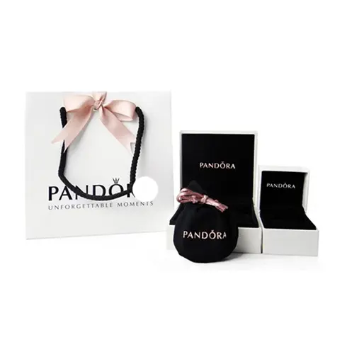 398296 PANDORA Moments O Small privezak