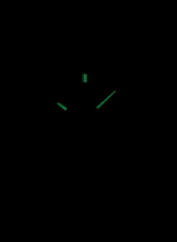 SSB305P1 SEIKO Chronograph muški ručni sat