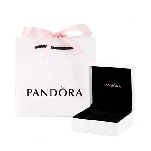 791736CZ-05 PANDORA Moments sigurnosni lančić