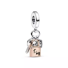 782506C01 PANDORA NAKIT Pandora Moments privezak