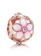 782087NBP PANDORA Moments Rose Cvetanje magnolije