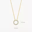 3065YZI BLUSH NAKIT ženska ogrlica 14ct