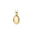 6087YGO BLUSH ZLATNI NAKIT 14ct ženski privezak