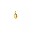 6087YGO BLUSH ZLATNI NAKIT 14ct ženski privezak