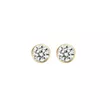 7258YZI BLUSH NAKIT ženske minđuše 14ct