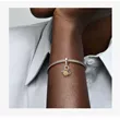 PANDORA 762676C01 viseći privezak