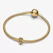763965C00 PANDORA S privezak