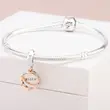 788255 PANDORA Moments privezak