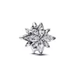 793591C01 PANDORA Sparkling North Star privezak