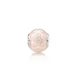796087EN141 PANDORA Essence Sreća privezak