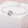 798266CZ -PANDORA Moments privezak