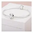 798353EN16 PANDORA Nino the Hedgehog privezak
