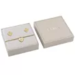 JUBS05079JWYGS GUESS ženski set (minđuše i narukvica)