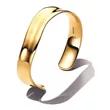 563302C00-3  PANDORA NAKIT Essence-narukvica pozl 14k CD/24