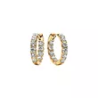 263002C01 PANDORA Sparkling Row Eternity ženske minđuše