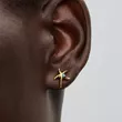 263820C01 PANDORA Starfish ženske minđuše