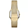 SKW3164 SKAGEN Mellem Lille ženski ručni sat