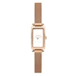SKW3148 SKAGEN Hagen Micro ženski ručni sat
