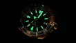 SRPB99K1 SEIKO Prospex PADI Samurai Automatic Divers Special Edition muški ručni sat