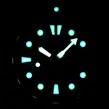 SRPC91K1 SEIKO Prospex Sea Automatic Turtle Divers Save The Ocean Special Edition muški ručni sat