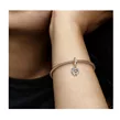 Pandora 782359C01 viseći privezak