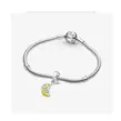 Pandora 791696C01 viseći privezak