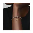 Pandora 791696C01 viseći privezak