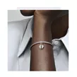 Pandora 792643C01 viseći privezak