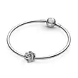 Pandora 799240C01 Fine Memories privezak