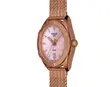 T101.910.33.151.00 TISSOT PR 100 Sport Chic ženski ručni sat