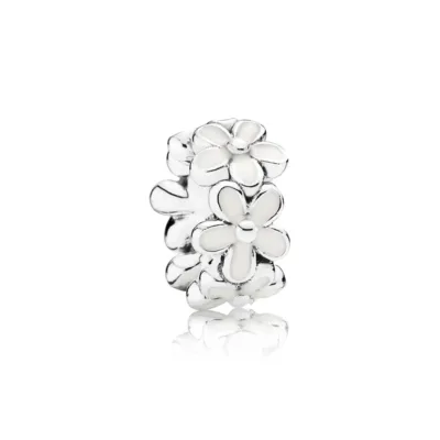 Moments 791495EN12 spacers, srebro/dodaci D1/15