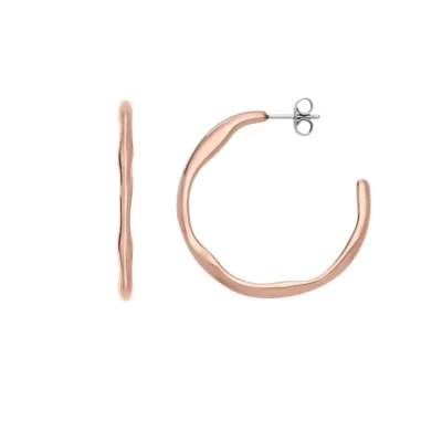 SKJ1874791 SKAGEN Moderne Stak  ženske minđuše